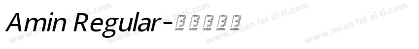Amin Regular字体转换